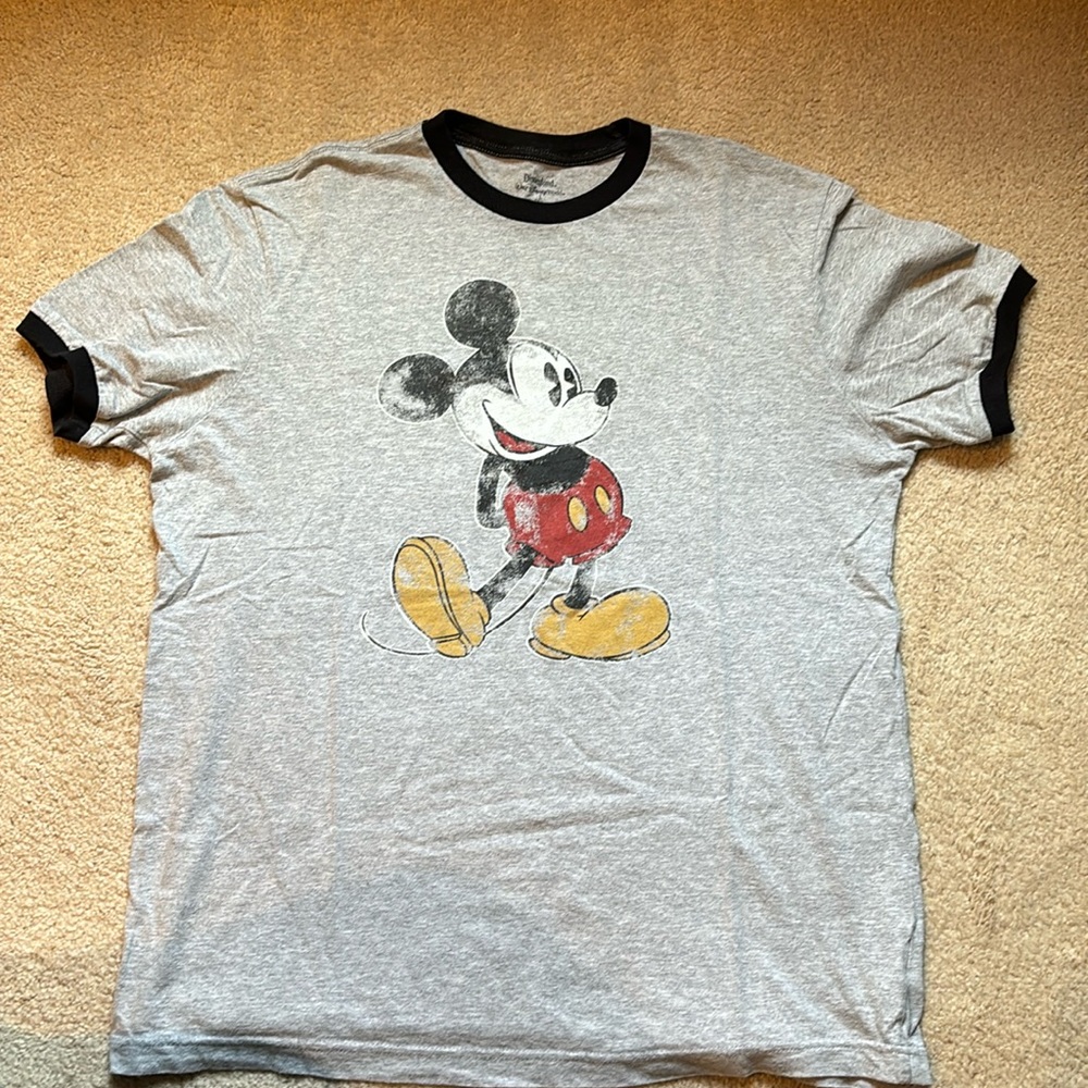 Disneyland / Walt Disney World Men’s Tshirt